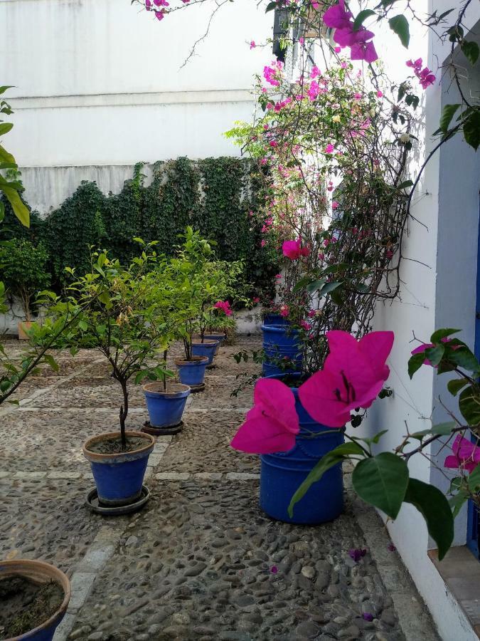 Wish Suite Juderia De Sevilla Экстерьер фото